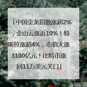 中国金龙指数涨超2%，金山云涨近10%！特斯拉涨超4%，市值大涨3100亿元！比特币涨回11万美元关口