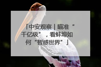 中安观察｜瞄准“千亿级”，看蚌埠如何“智感世界”