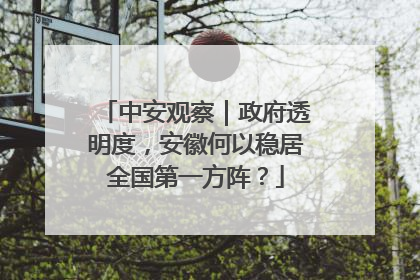 中安观察｜政府透明度，安徽何以稳居全国第一方阵？