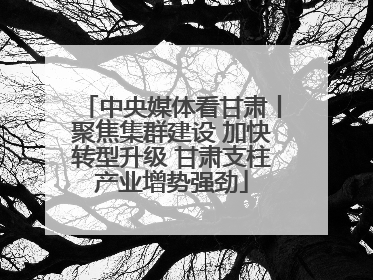 中央媒体看甘肃丨聚焦集群建设 加快转型升级 甘肃支柱产业增势强劲