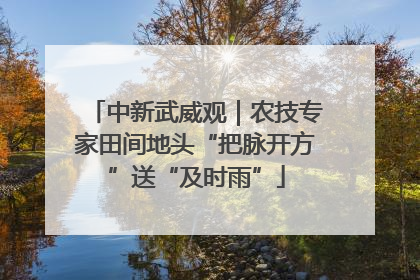 中新武威观｜农技专家田间地头“把脉开方”送“及时雨”