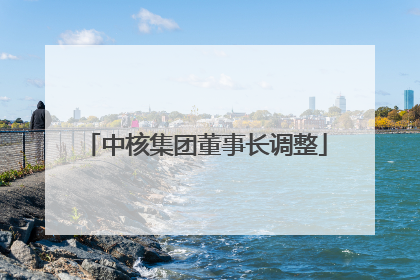 中核集团董事长调整
