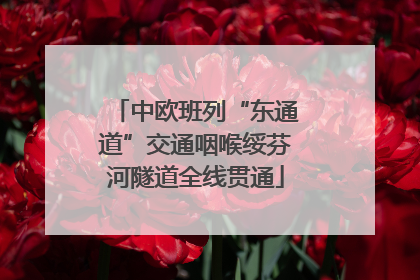 中欧班列“东通道”交通咽喉绥芬河隧道全线贯通