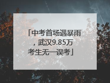 中考首场遇暴雨，武汉9.85万考生无一误考