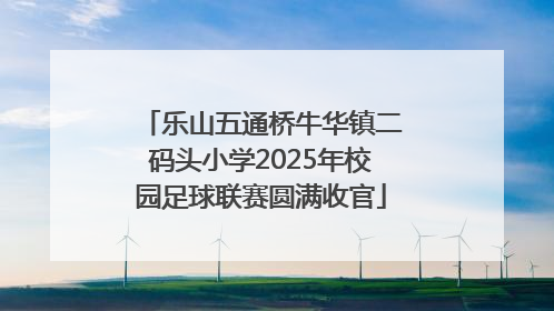 乐山五通桥牛华镇二码头小学2025年校园足球联赛圆满收官
