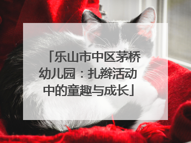 乐山市中区茅桥幼儿园：扎辫活动中的童趣与成长
