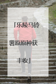 乐陵马铃薯原原种获丰收