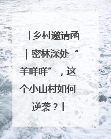 乡村邀请函｜密林深处“羊咩咩”，这个小山村如何逆袭？