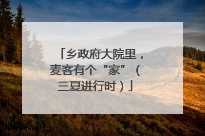 乡政府大院里，麦客有个“家”（三夏进行时）