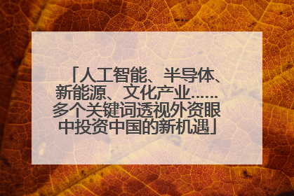 人工智能、半导体、新能源、文化产业……多个关键词透视外资眼中投资中国的新机遇