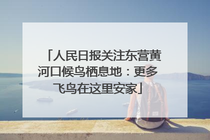 人民日报关注东营黄河口候鸟栖息地：更多飞鸟在这里安家