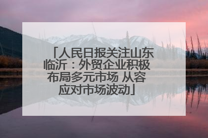 人民日报关注山东临沂：外贸企业积极布局多元市场 从容应对市场波动