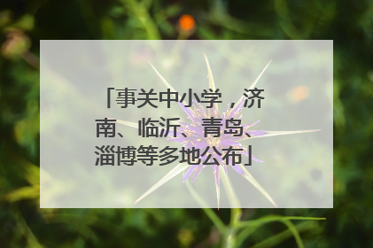 事关中小学，济南、临沂、青岛、淄博等多地公布