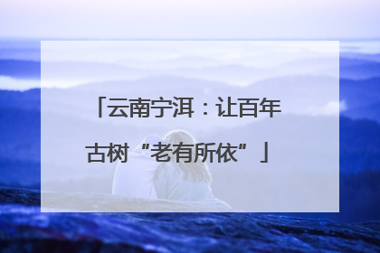 云南宁洱：让百年古树“老有所依”