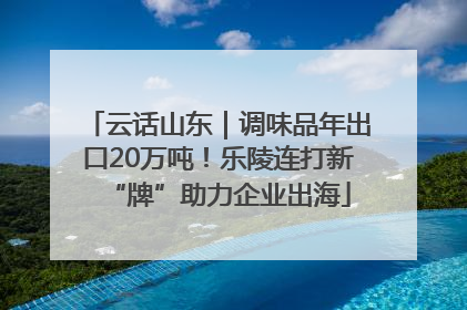 云话山东｜调味品年出口20万吨！乐陵连打新“牌”助力企业出海
