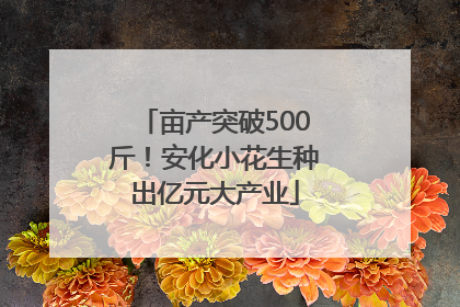 亩产突破500斤！安化小花生种出亿元大产业