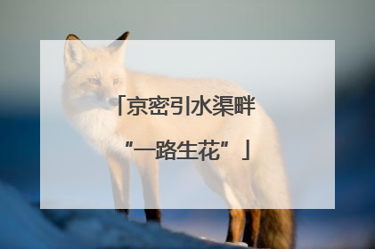 京密引水渠畔“一路生花”