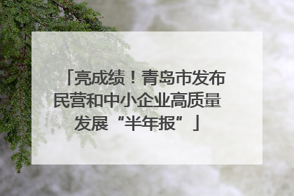 亮成绩！青岛市发布民营和中小企业高质量发展“半年报”