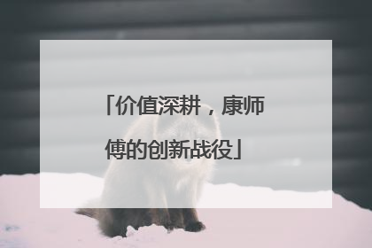 价值深耕，康师傅的创新战役