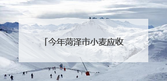 今年菏泽市小麦应收面积约930万亩，超九成小麦已颗粒归仓