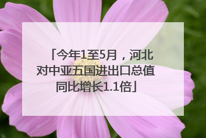 今年1至5月，河北对中亚五国进出口总值同比增长1.1倍