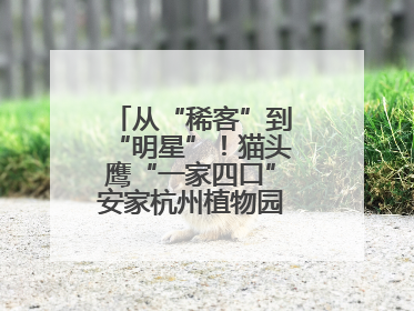 从“稀客”到“明星”！猫头鹰“一家四口”安家杭州植物园背后的守护