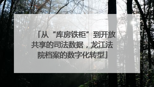 从“库房铁柜”到开放共享的司法数据，龙江法院档案的数字化转型