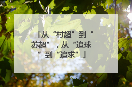 从“村超”到“苏超”，从“追球”到“追求”