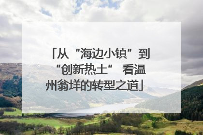 从“海边小镇”到“创新热土” 看温州翁垟的转型之道