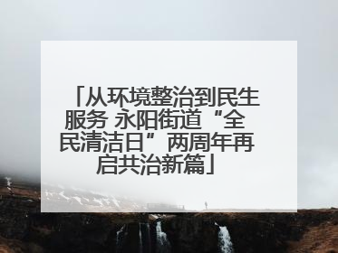 从环境整治到民生服务 永阳街道“全民清洁日”两周年再启共治新篇