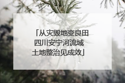 从灾毁地变良田 四川安宁河流域土地整治见成效