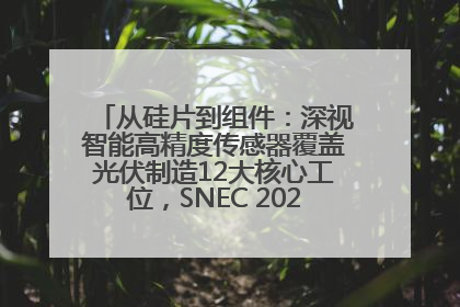 从硅片到组件：深视智能高精度传感器覆盖光伏制造12大核心工位，SNEC 2025诚邀见证