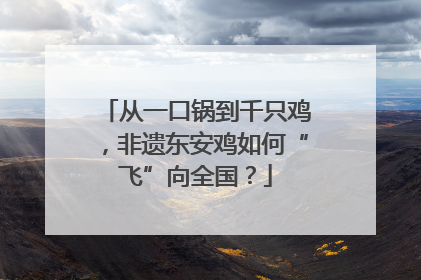 从一口锅到千只鸡，非遗东安鸡如何“飞”向全国？