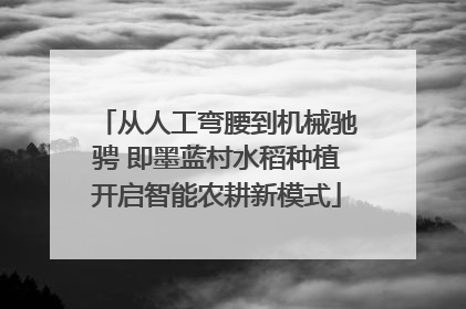 从人工弯腰到机械驰骋 即墨蓝村水稻种植开启智能农耕新模式