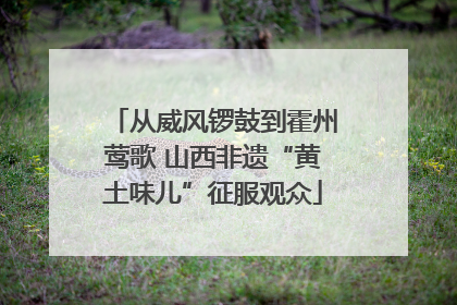 从威风锣鼓到霍州莺歌 山西非遗“黄土味儿”征服观众