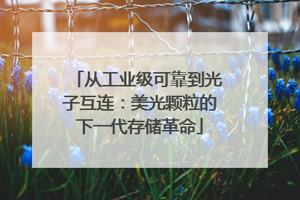 从工业级可靠到光子互连：美光颗粒的下一代存储革命