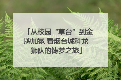 从校园“草台”到金牌加冕 看烟台城科龙狮队的铸梦之旅