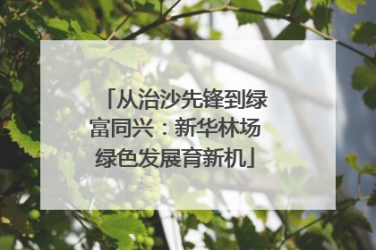 从治沙先锋到绿富同兴：新华林场绿色发展育新机