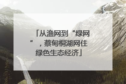从渔网到“绿网”，蔡甸桐湖网住绿色生态经济