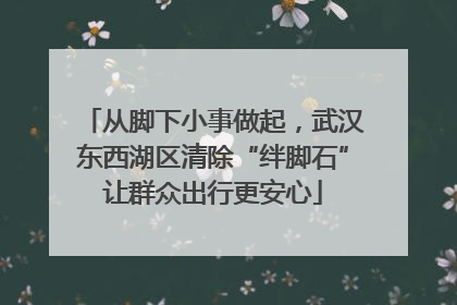 从脚下小事做起，武汉东西湖区清除“绊脚石”让群众出行更安心