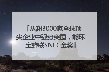 从超3000家全球顶尖企业中强势突围，能环宝蝉联SNEC金奖
