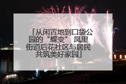 从闲置地到口袋公园的“蝶变” 凤里街道后花社区与居民共筑美好家园
