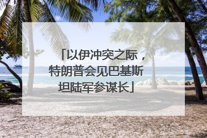 以伊冲突之际，特朗普会见巴基斯坦陆军参谋长