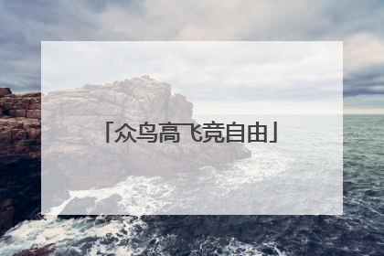 众鸟高飞竞自由