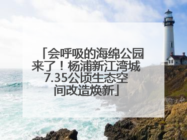 会呼吸的海绵公园来了！杨浦新江湾城7.35公顷生态空间改造焕新