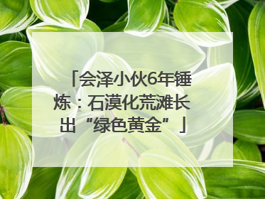 会泽小伙6年锤炼：石漠化荒滩长出“绿色黄金”