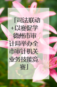 司法联动+以赛促学 德州市审计局举办全市审计机关业务技能竞赛