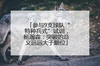 参与9支球队“特种兵式”试训,杨瀚森:突破的意义远远大于顺位