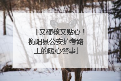 又硬核又贴心！衡阳县公安护考路上的暖心警事