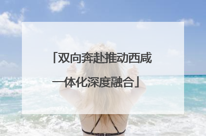 双向奔赴推动西咸一体化深度融合